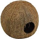 jbl cocoscave 3/4