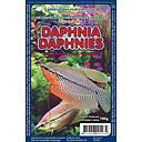 [5004] daphnia intensive red 100ml blister