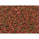 prodac biogran medium bulk /100g go