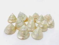 zee egelshell 4-5cm ( leeg )