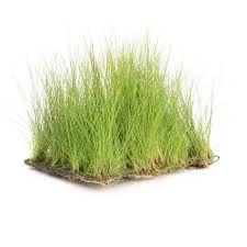 eleocharis op stalen net 10x15cm