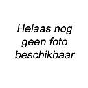 plante en plastique cabomba 30cm