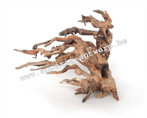 bonsai kirin aquascape wood 22x12x28cm