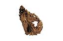 mangrove wood 40-60cm /pc