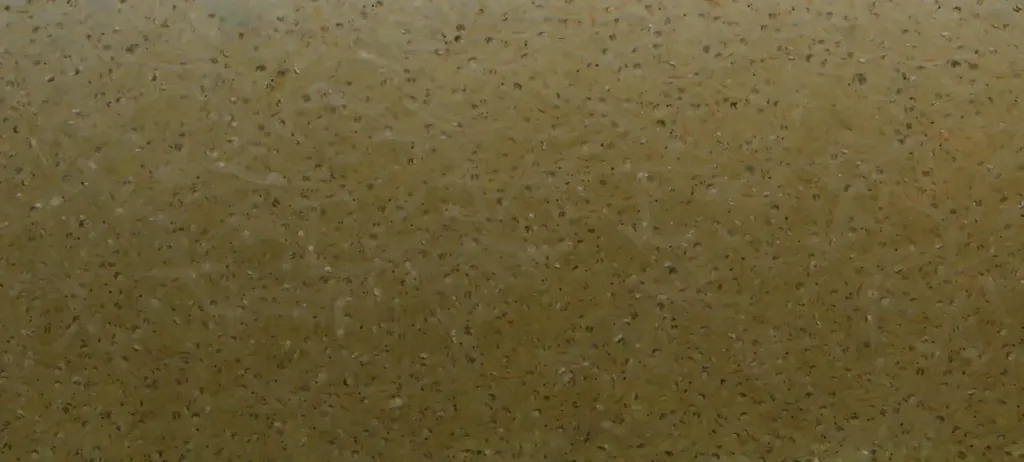 vers de vase wit/blanc levend/vivant 160g