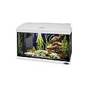 ferplast/hydor aquarium capri 80 white NEW adjustable leds