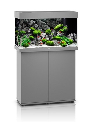 juwel aquarium rio 125 grey
