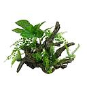 blue belle pacific aquascape 1 - 33x14.6x28.5cm