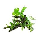 blue belle pacific aquascape 5 - 32.3x19.9x22.2cm