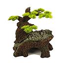 bonsai wonder 2 21.1x17.4x22.4cm