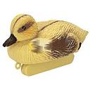 oase vijverfiguur eend kuiken