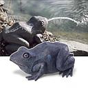 oase waterspuwer kikker